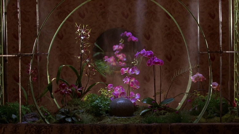 кадр из фильма Секретарша