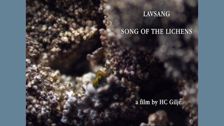 кадр из фильма Lavsang - Song of the Lichens