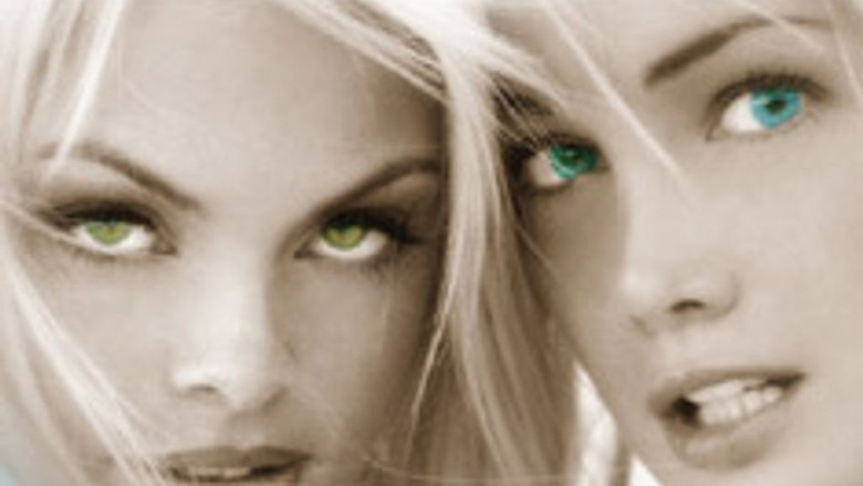 кадр из фильма Island Fever 3