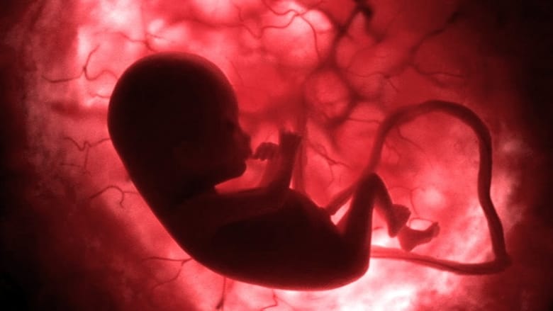 кадр из фильма In The Womb