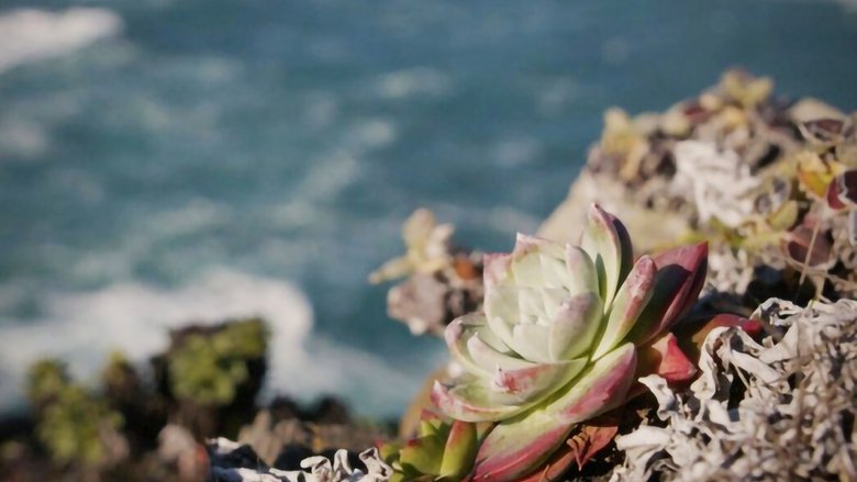 кадр из фильма Plant Heist