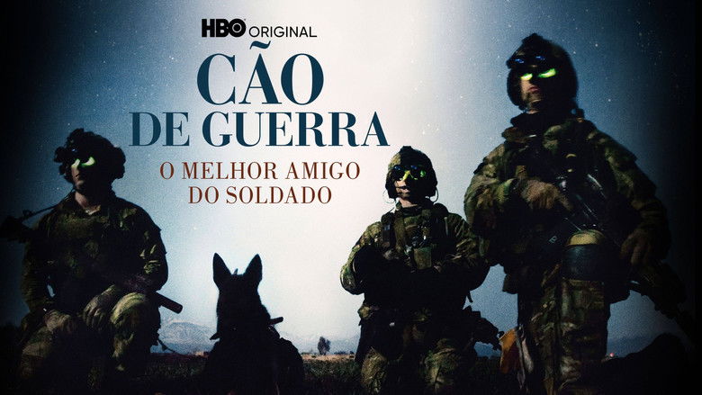 кадр из фильма War Dog: A Soldier's Best Friend
