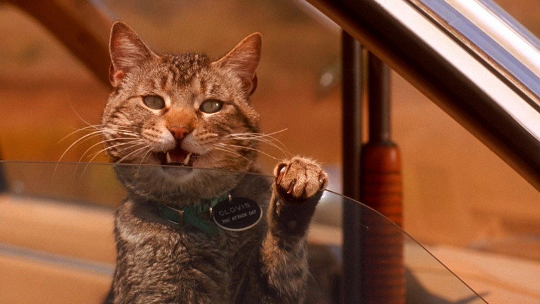 кадр из фильма Лунатики