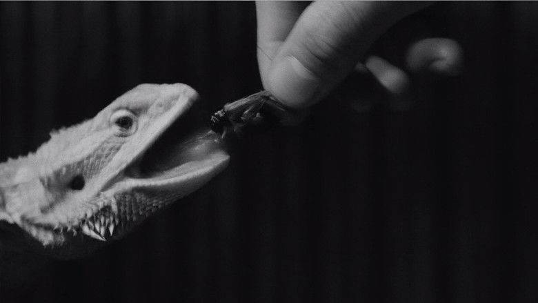 кадр из фильма Электрический дракон 80.000 Вольт