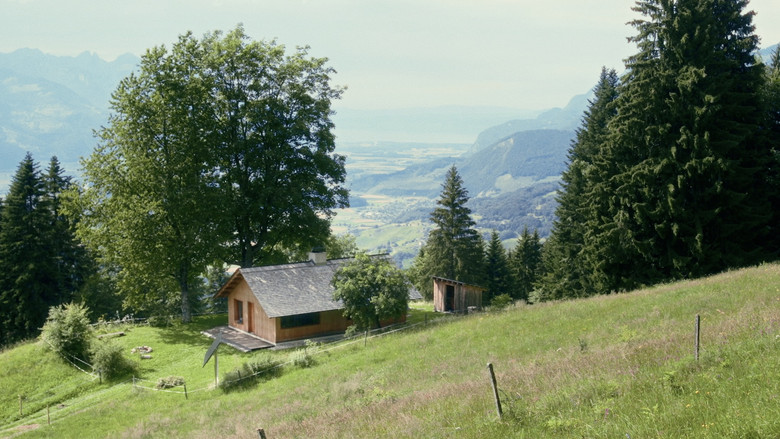 кадр из фильма ANEMOS