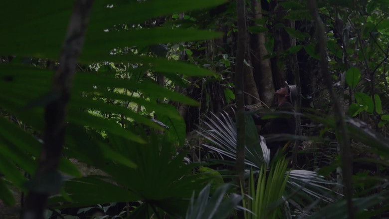 кадр из фильма Rolly: A Story of My Father