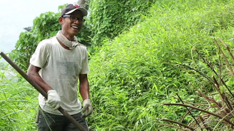 кадр из фильма 港米