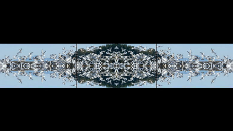 кадр из фильма GO FISH