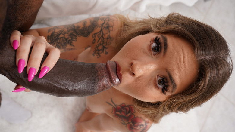 кадр из фильма Brickzilla 9: Petites