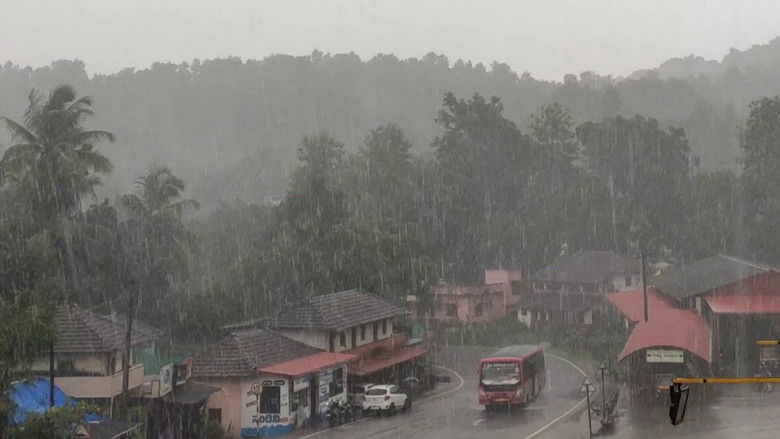 кадр из фильма Desiderium