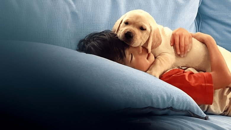 кадр из фильма Pets