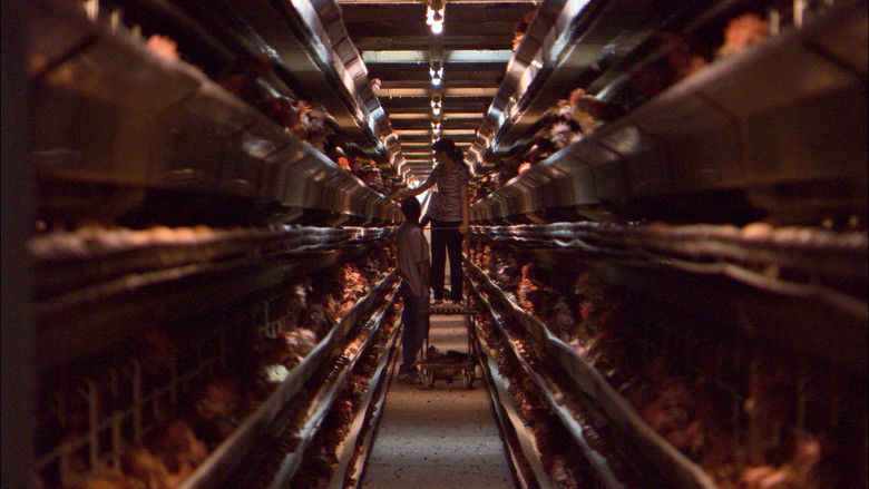 кадр из фильма Хлеб наш насущный