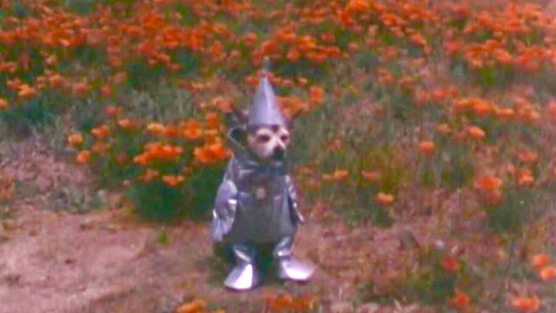 кадр из фильма The Tin Woodman's Home Movie #2: California Poppy Reserve, Antelope Valley