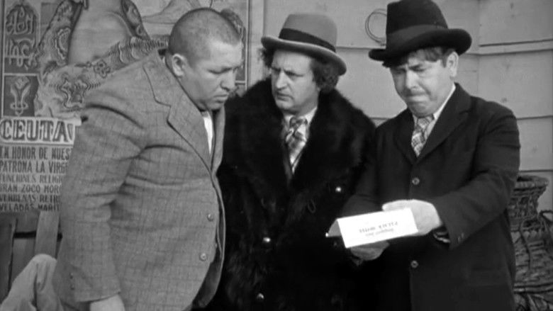 кадр из фильма Saved by the Belle