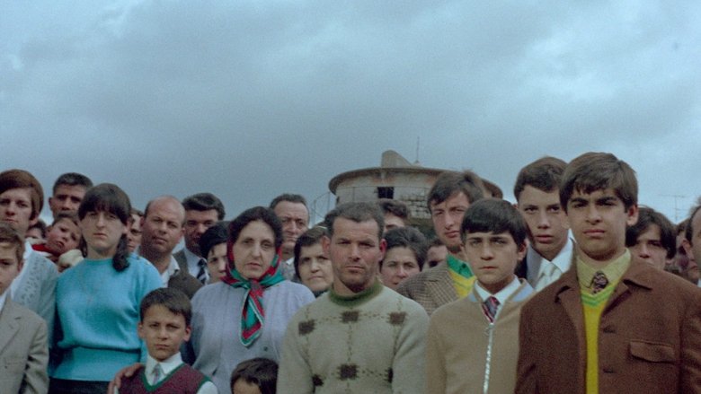 кадр из фильма Теорема