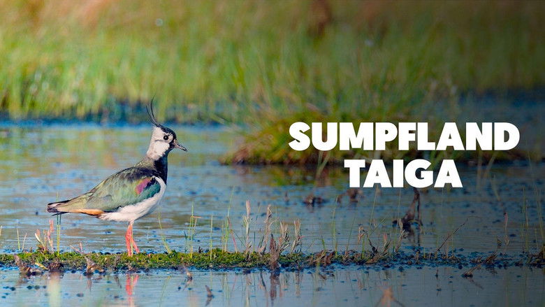 кадр из фильма Sumpfland Taiga - Das Berezinsky-Biosphärenreservat