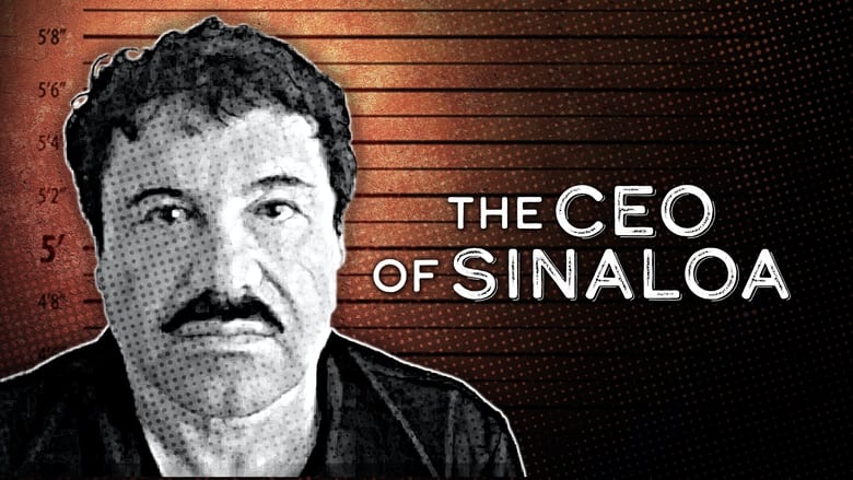 кадр из фильма The CEO of Sinaloa