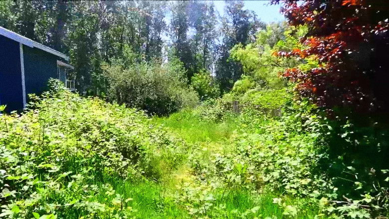 кадр из фильма The Spirit