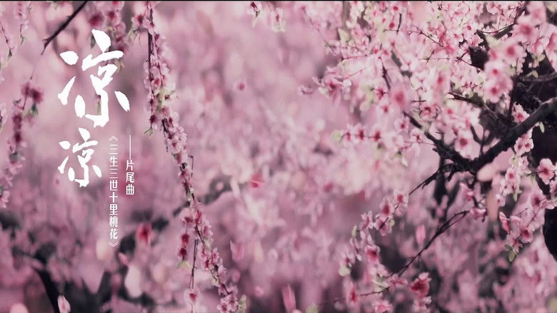 杨宗纬&张碧晨 - 凉凉