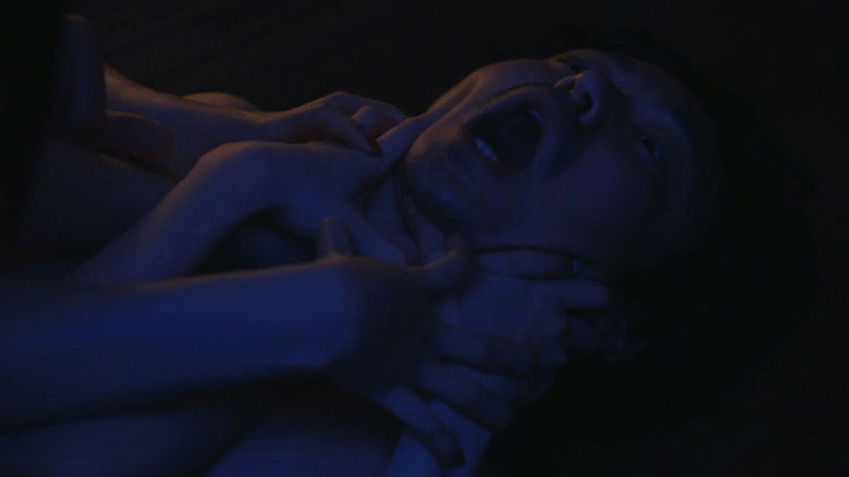 кадр из фильма 殺人鬼を飼う女