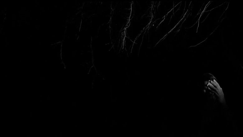 кадр из фильма Kintsukuroi o donde nacen los árboles