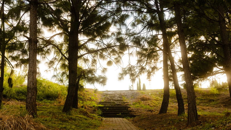 кадр из фильма LIMINAL