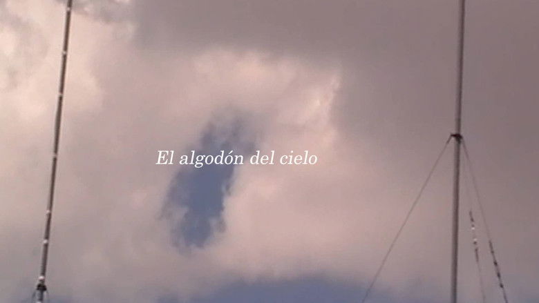кадр из фильма El algodón del cielo