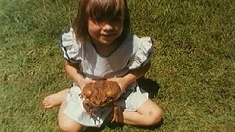 кадр из фильма Cane Toads: An Unnatural History