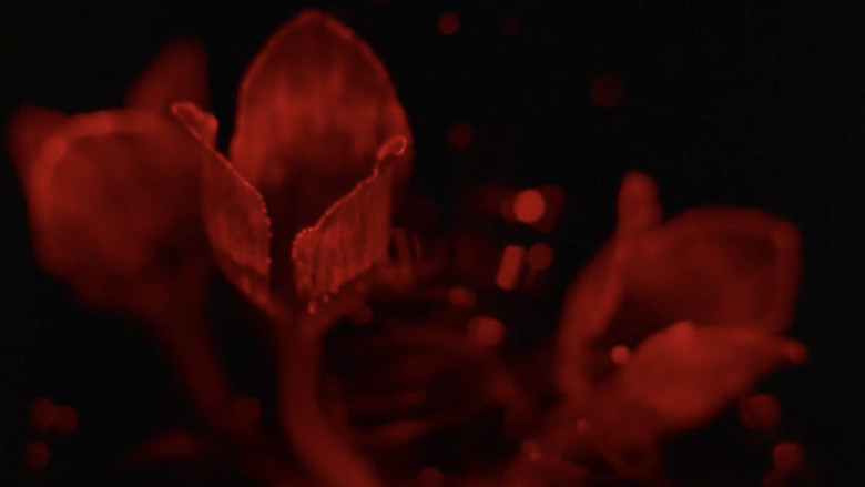 кадр из фильма 銀座ネオン街　女の絶頂