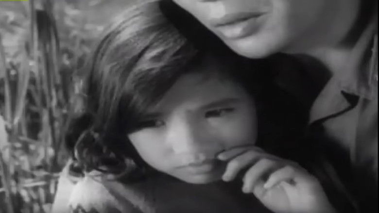 кадр из фильма Em bé Hà Nội