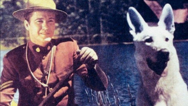 кадр из фильма The Wolf Hunters