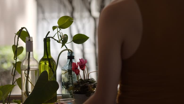 кадр из фильма La humedad en el aire