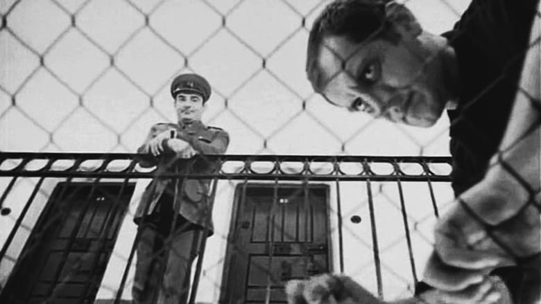 кадр из фильма Zazidani