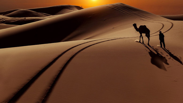 кадр из фильма Morocco 8K