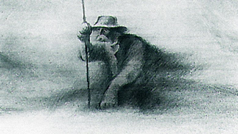 кадр из фильма Человек, который сажал деревья