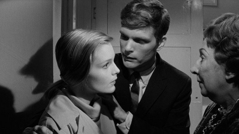 кадр из фильма Исчезнувшая Банни Лейк