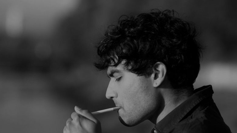 кадр из фильма Insomnia