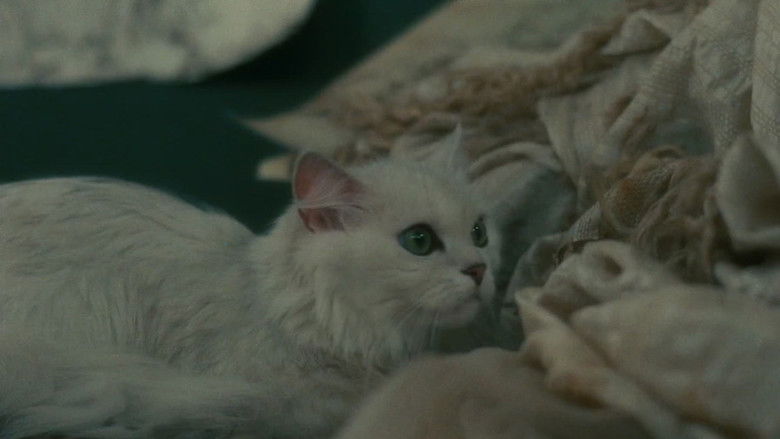 кадр из фильма Героини зла