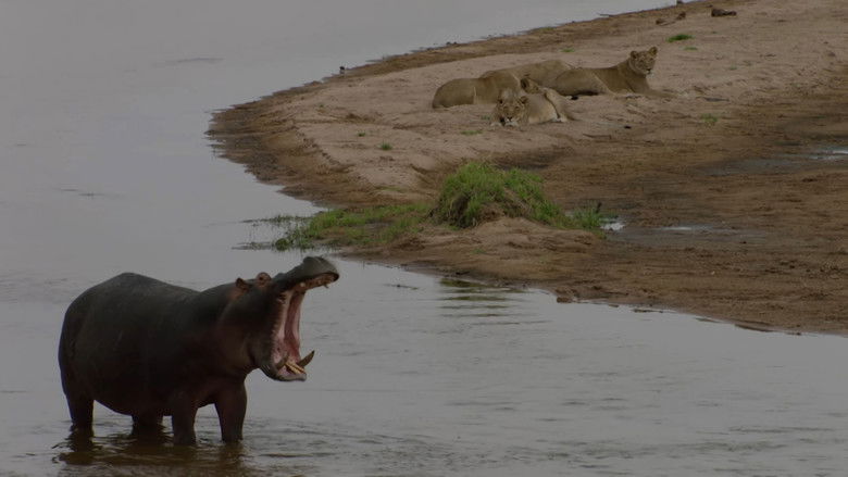 кадр из фильма The Kill