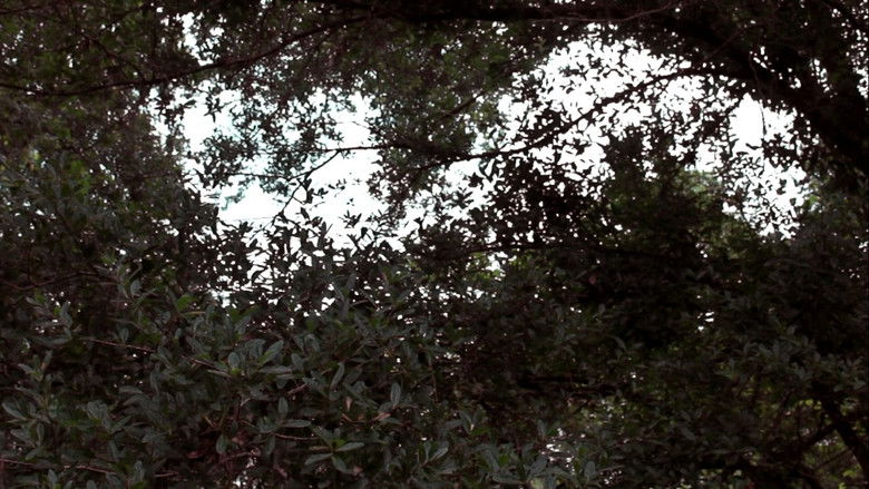 кадр из фильма Colors (A Visual Poem)