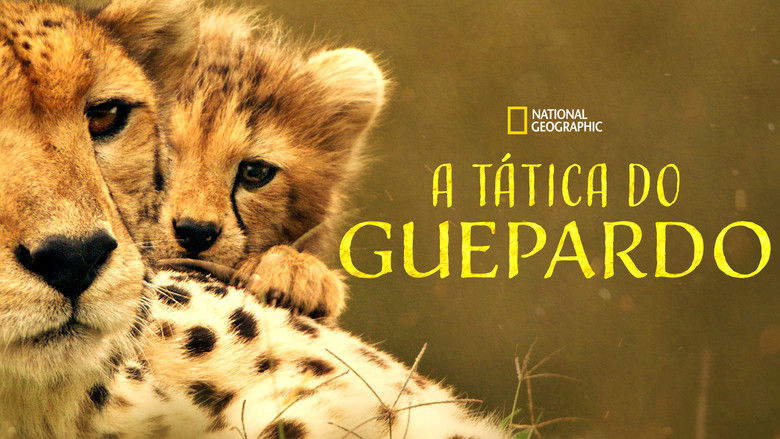 кадр из фильма The Way of the Cheetah