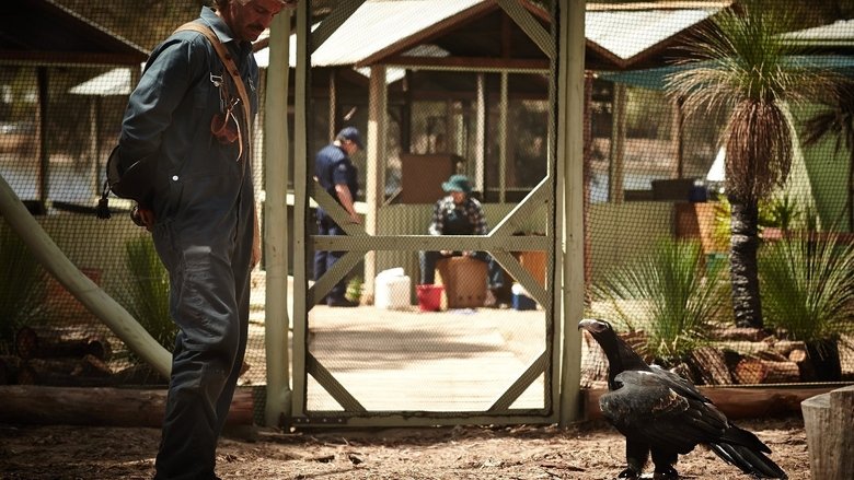 кадр из фильма Healing