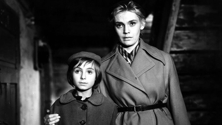 кадр из фильма Свидетельство о рождении