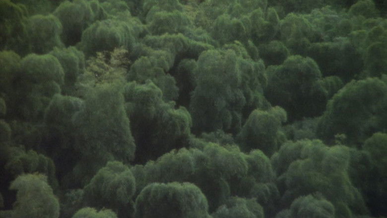 кадр из фильма Дом повешенной на Больничном Спуске