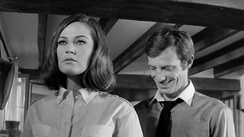 кадр из фильма Прекрасным летним утром