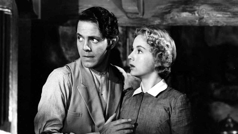 Дамы в уединении