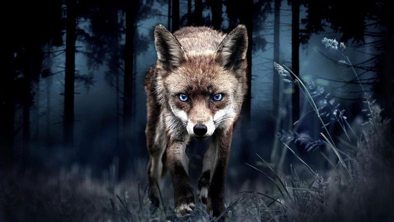 кадр из фильма Japon, un nouveau monde sauvage