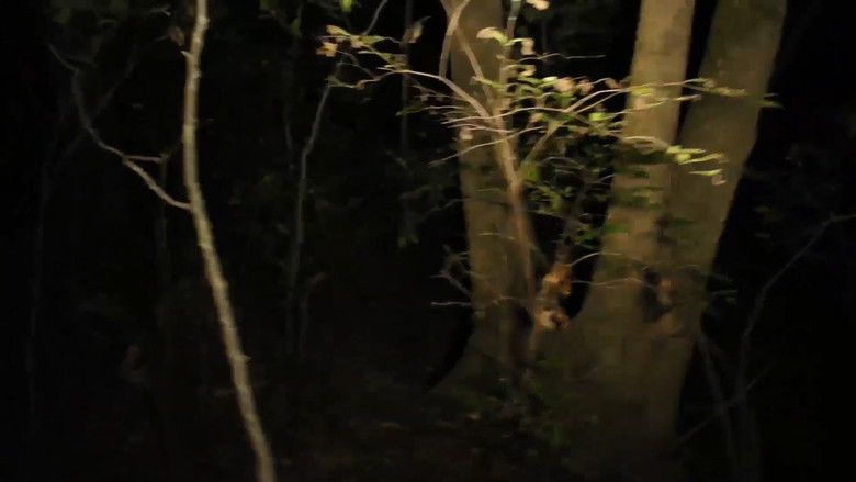 кадр из фильма The Slender Man