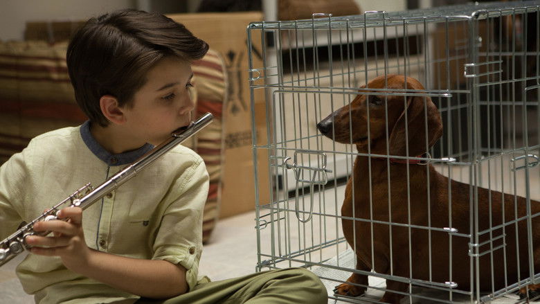 кадр из фильма Такса