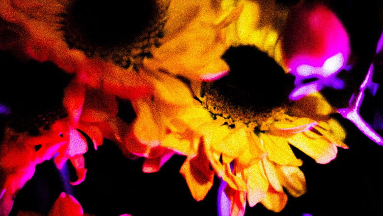 кадр из фильма Flores (II)